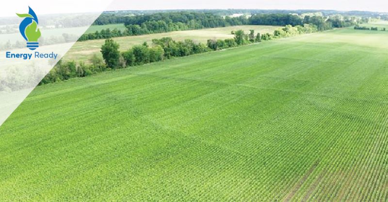 Photo of an economic greenfield site